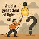 shed a great deal of light on