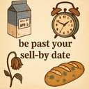 be past or pass your sell-by date