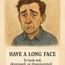have a long face
