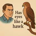 has eyes like a hawk