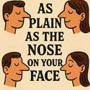 as plain as the nose on your face