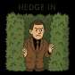 hedge in