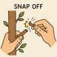 snap off