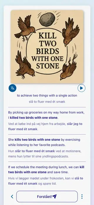 English Idioms in Action: Skærmbillede af appen 6