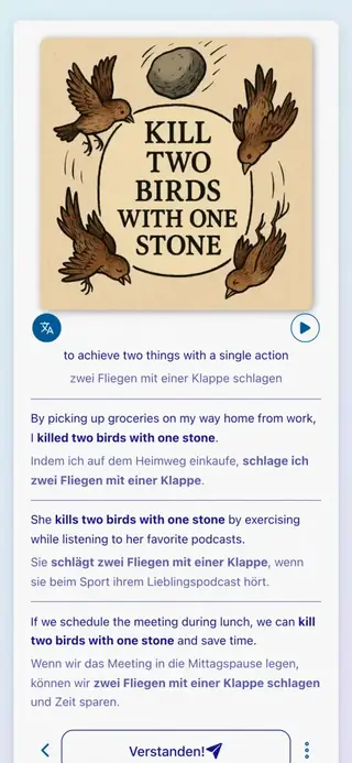 English Idioms in Action: Screenshot der App 6