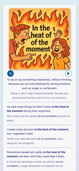 English Idioms in Action: Captura de pantalla de la aplicación 4