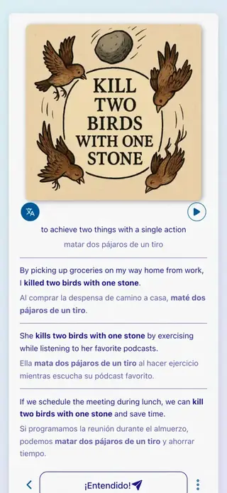 English Idioms in Action: Captura de pantalla de la aplicación 6