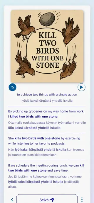 English Idioms in Action: Sovelluksen kuvakaappaus 6