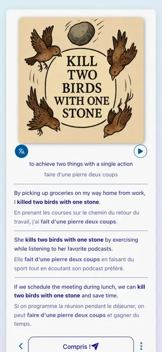 English Idioms in Action: Capture d’écran de l’application 6