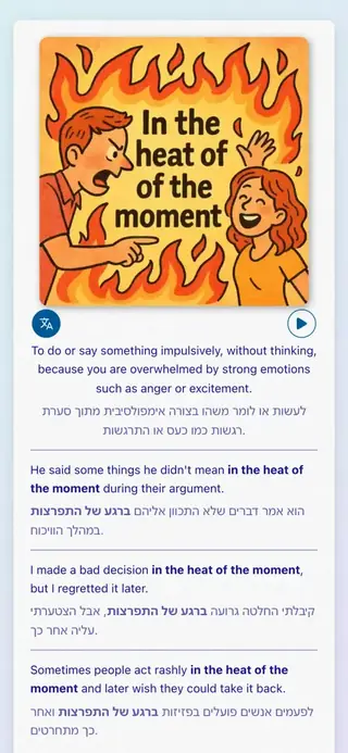 English Idioms in Action: צילום מסך של האפליקציה 4