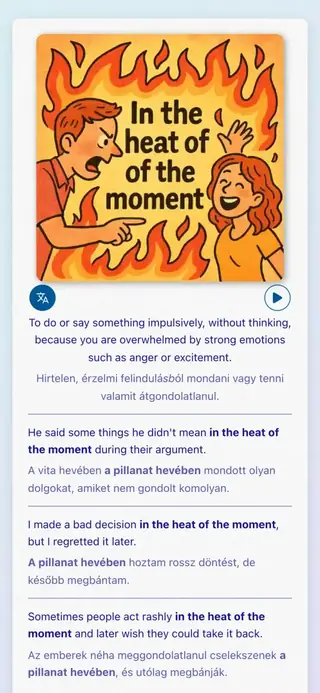 English Idioms in Action: Alkalmazás képernyőképe 4