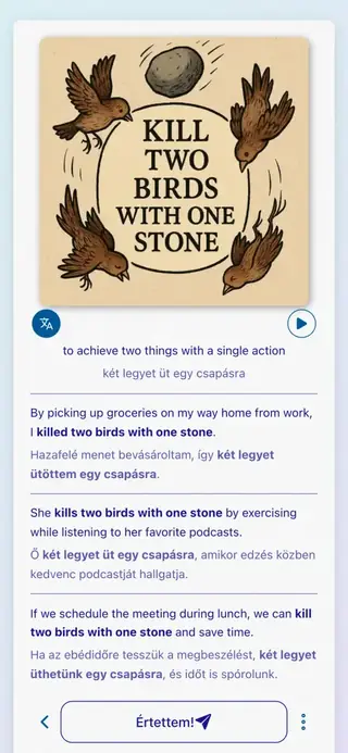 English Idioms in Action: Alkalmazás képernyőképe 6