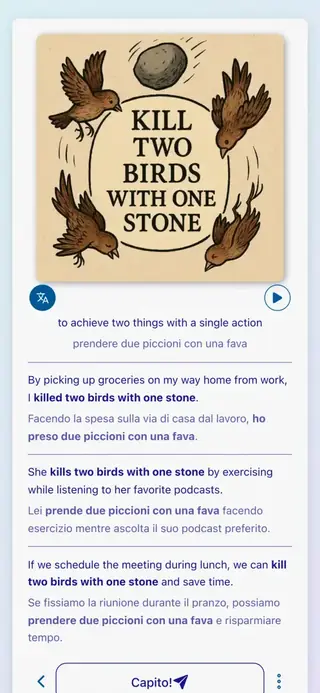 English Idioms in Action: Schermata dell'app 6