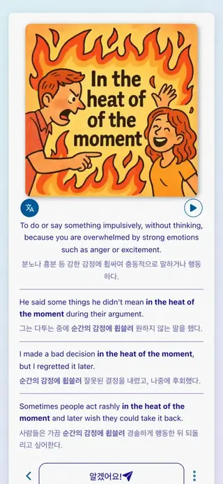 English Idioms in Action: 앱 스크린샷 4