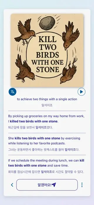English Idioms in Action: 앱 스크린샷 6