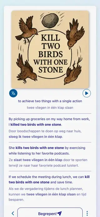 English Idioms in Action: Schermafbeelding van de app 6