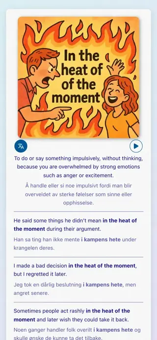 English Idioms in Action: Skjermbilde av appen 4