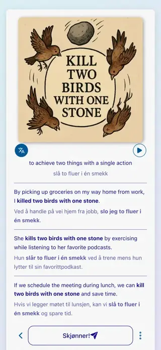 English Idioms in Action: Skjermbilde av appen 6