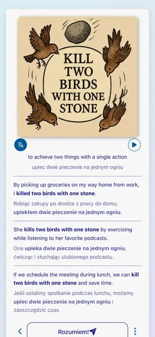 English Idioms in Action: Zrzut ekranu aplikacji 6