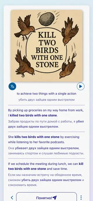 English Idioms in Action: Скриншот приложения 6