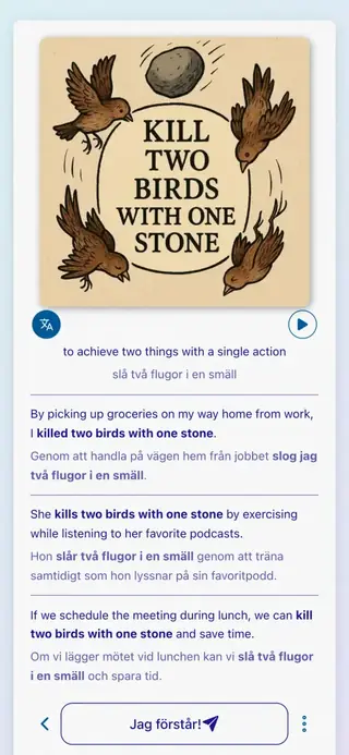 English Idioms in Action: Skärmbild från appen 6