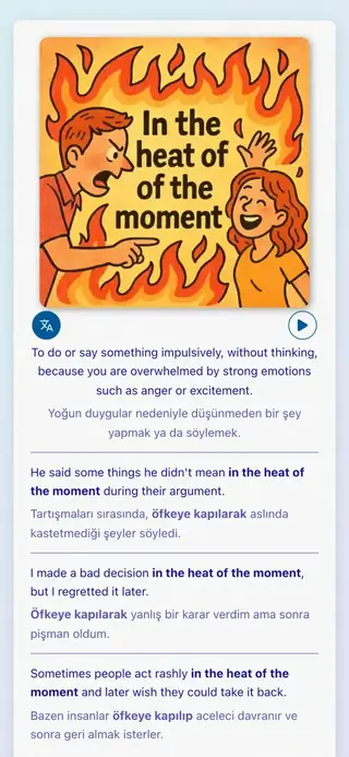 English Idioms in Action: Uygulama ekran görüntüsü 4