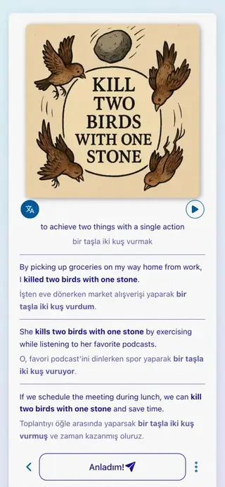 English Idioms in Action: Uygulama ekran görüntüsü 6