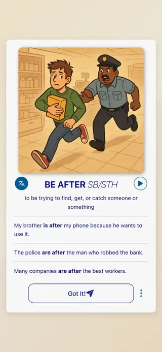 Phrasal Verbs in Action: App screenshot 3