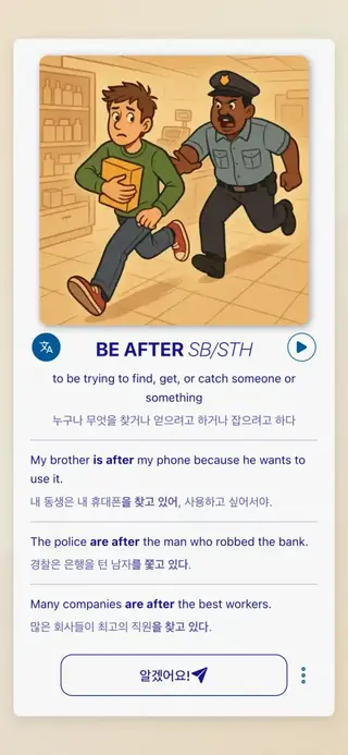 Phrasal Verbs in Action: 앱 스크린샷 3