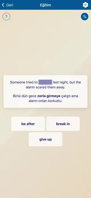 Phrasal Verbs in Action: Uygulama ekran görüntüsü 4