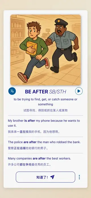 Phrasal Verbs in Action: 应用截图 3